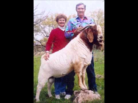 How’s Hell Treating You?